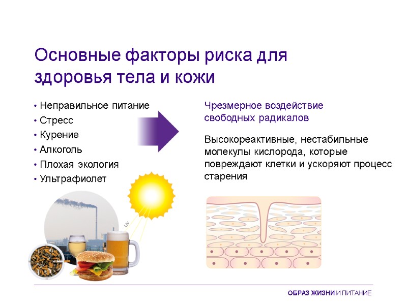 Основные факторы риска для здоровья тела и кожи • Неправильное питание • Стресс •